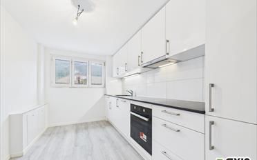 Wohnung 3.5 Zimmer - image - 4