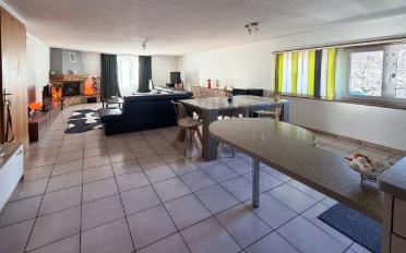 Wohnung 2.5 Zimmer - image - 1