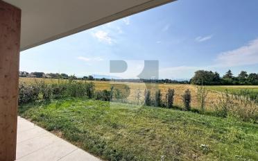 Einfamilienhaus 6 Zimmer - image - 1