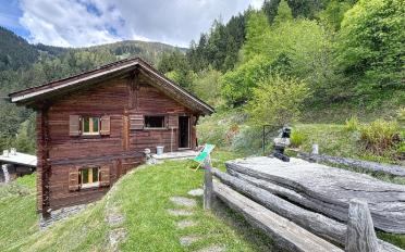 Chalet 3 rooms - image - 2