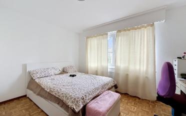 Appartement 5.5 pièces - image - 7
