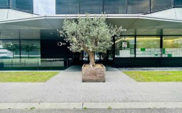 Büro - image - 7
