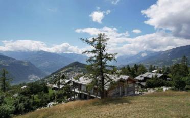 Bauland - image - 7