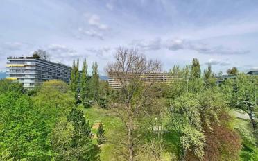 Wohnung 7 Zimmer - image - 13