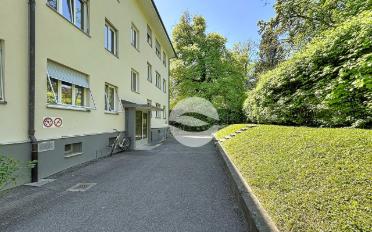 Wohnung 3 Zimmer - image - 10
