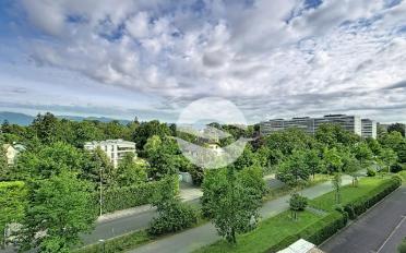 Wohnung 4 Zimmer - image - 7