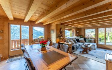 Chalet 9.5 pièces - image - 1