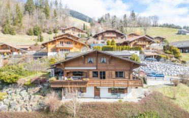 Chalet 9.5 pièces - image - 1