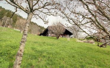 Chalet 5.5 pièces - image - 6