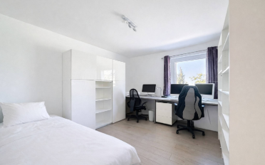Villa 8.5 pièces - image - 11