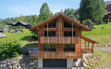 Villa 5.5 pièces - image - 2