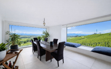 Villa 10 Zimmer - image - 5