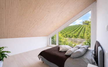 Villa 10 Zimmer - image - 9