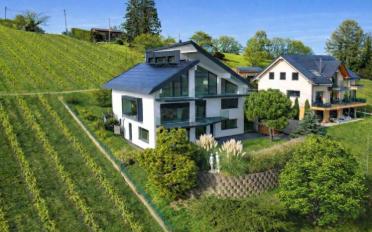 Villa 10 Zimmer - image - 13