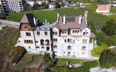 Château 16 pièces - image - 1