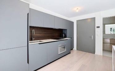 Apartment 1 room - image - 4