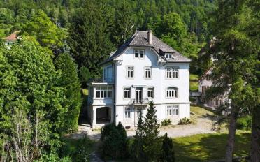 Single house 14.5 rooms - image - 1