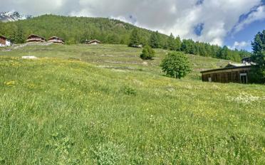Building land - image - 4