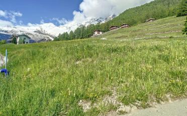 Building land - image - 1