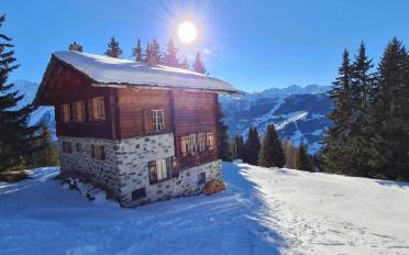 Chalet 8 Zimmer - image - 10