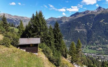 Chalet 3.5 pièces - image - 2