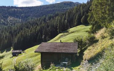 Chalet 3.5 pièces - image - 3