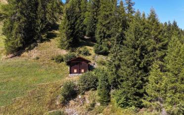 Chalet 3.5 pièces - image - 1
