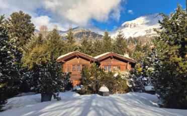 Chalet 5 rooms - image - 2