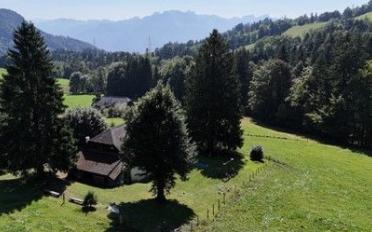 Chalet 15 Zimmer - image - 3
