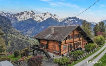 Chalet 14 Zimmer - image - 1