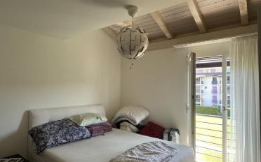 Wohnung 2.5 Zimmer - image - 5