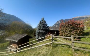 Chalet 3.5 Zimmer - image - 1