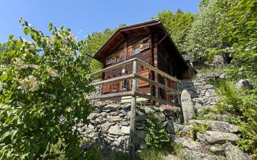 Chalet 3.5 pièces - image - 1