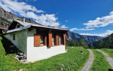 Chalet 3.5 pièces - image - 4