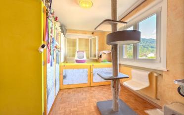 Villa 7 rooms - image - 13