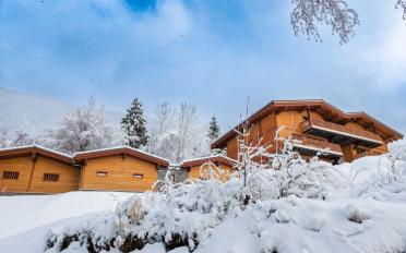 Appartement 2.5 pièces - image - 1