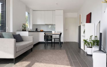 Terrace flat 1.5 rooms - image - 3