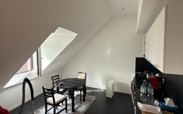 Appartement 2.5 pièces - image - 2