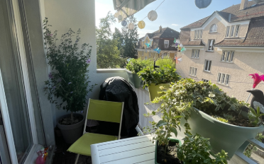 Apartment 4.5 rooms - image - 6