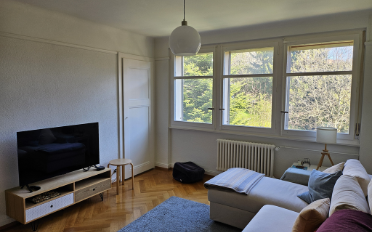 Wohnung 2.5 Zimmer - image - 3