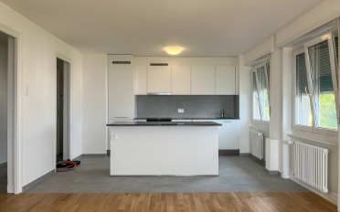 Wohnung 4.5 Zimmer - image - 3