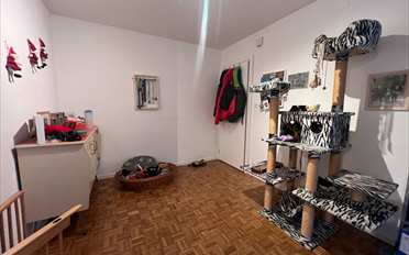 Apartment 3.5 rooms - image - 5