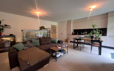 Apartment 2.5 rooms - image - 5