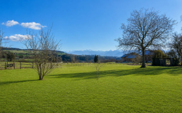 Villa 6.5 pièces - image - 11
