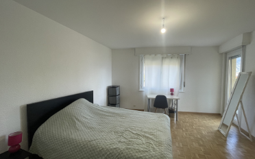 Wohnung 2.5 Zimmer - image - 3