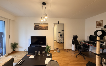 Wohnung 2 Zimmer - image - 1
