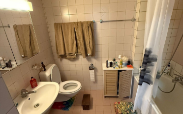 Wohnung 2.5 Zimmer - image - 5