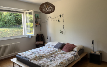 Wohnung 3.5 Zimmer - image - 4