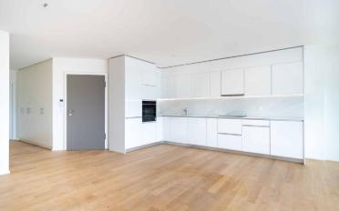 Attic flat 5.5 rooms - image - 3