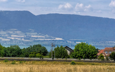 Villa 5.5 pièces - image - 11